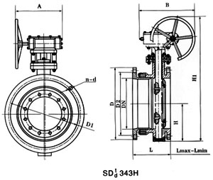 ߴD